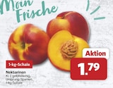 famila Nordwest - Nektarinen Angebot im Prospekt Nektarinen bei famila Nordwest im Prospekt "" für 1,79 €