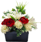 JARDINIÈRE FLEURIE RENONCULES & ŒILLETS - SANSMARQUE - Auchan Hypermarché à Nantes JARDINIÈRE FLEURIE RENONCULES & ŒILLETS - SANSMARQUE en promo chez Auchan Hypermarché Nantes à 12,99 €
