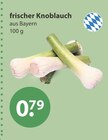 Knoblauch im V-Markt Prospekt frischer Knoblauch im aktuellen V-Markt Prospekt für 0,79 €
