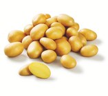 Premium Speisekartoffeln, festkochend im Angebot bei Lidl in Dinslaken Premium Speisekartoffeln, festkochend Angebote bei Lidl Dinslaken für 1,39 €
