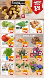 Blumen im REWE Prospekt in Siegburg Aktueller REWE Prospekt mit Blumen, "Dein Markt", Seite 7