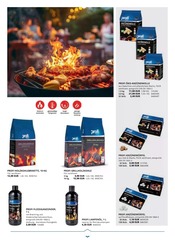 Aktueller PROFI Wesch Prospekt mit Holzkohle, "GARTEN KATALOG", Seite 113