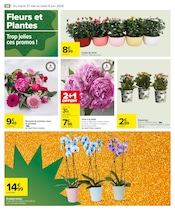 Orchidée Angebote im Prospekt "LE MOIS À VOS MARQUES, PRÊTS, PRÊTS, PARTEZ !" von Carrefour Orchidée Angebote im Prospekt "LE MOIS À VOS MARQUES, PRÊTS, PRÊTS, PARTEZ !" von Carrefour auf Seite 90