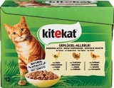 Aktuelles Multipack Angebot bei Netto Marken-Discount in Magdeburg ab 3,49 €