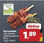 Gyrosspieße im Angebot bei combi in Paderborn Gyrosspieße Angebote bei combi Paderborn für 1,89 €