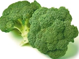 Deutscher Broccoli bei Netto mit dem Scottie im Prospekt  für 0,99 €