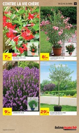 Promos Lavande dans le catalogue "-60% DE REMISE IMMÉDIATE SUR LE 2ÈME" de Intermarché Hyper à la page 13