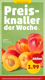 Penny Aprikosen im Prospekt Penny Aprikosen im Prospekt