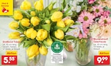 Aktuelle Blumen Angebote bei Netto Marken-Discount in Magdeburg Aktuelles Großbund Tulpen Angebot bei Netto Marken-Discount in Magdeburg ab 5,55 €
