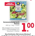 Aktuelles Sommermix Salat der Saison Angebot bei E center in Frankfurt (Main) ab 1,00 €