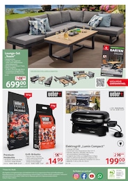 Holzkohle Angebot im aktuellen Selgros Prospekt auf Seite 24