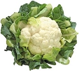 Angebot im Kaufland Hof Prospekt Kaufland Hof Prospekt mit im Angebot fĂŒr 1,49 âŹ