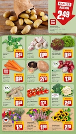 Knoblauch im REWE Prospekt in Dresden Aktueller REWE Prospekt mit Knoblauch, "Dein Markt", Seite 7