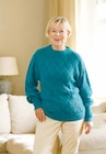Federgarn Pullover bei Netto mit dem Scottie im Prospekt "" für 12,99 €