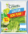 Laitue Bon Plan - Les Crudettes - Netto Laitue Bon Plan - Les Crudettes à 1,00 € dans le catalogue Netto