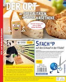 Netto Marken-Discount Oderberg Prospekt der aktuellen Woche, gültig von 24.08.2026 bis 29.08.2026 Aktueller Netto Marken-Discount Oderberg Prospekt "10% auf Molkerei-Produkte" mit 2 Seiten
