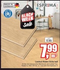 Laminat-Boden Eiche hell Angebote von ESPRIMA bei Wilhelm Pelster GmbH & Co. KG Coesfeld für 7,99 €