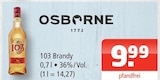 103 Brandy im Angebot bei Getränke Oase in Rheda-Wiedenbrück 103 Brandy Angebote von OSBORNE bei Getränke Oase Rheda-Wiedenbrück für 9,99 €