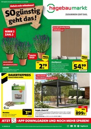 Hagebaumarkt Prospekt für Westerhausen mit 16 Seiten Hagebaumarkt Prospekt für Westerhausen: "SO günstig geht das!", 16 Seiten, 05.07.2025 - 12.07.2025