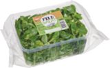 Bio-Feldsalat von tegut... im aktuellen tegut Prospekt für 0,99 €