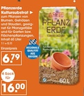 Pflanzerde Kultursubstrat im V-Markt Prospekt Pflanzerde Kultursubstrat von A. Reiter im aktuellen V-Markt Prospekt für 6,79 €