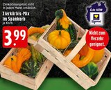 EDEKA - Zierkürbis-Mix Angebot im Prospekt Zierkürbis-Mix bei EDEKA im Prospekt "" für 3,99 €