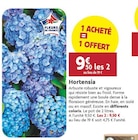 Promo Hortensia à 9,50 € dans le catalogue LaMaison.fr à Alençon