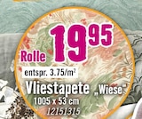 Vliestapete "Wiese" im Angebot bei Hornbach in Berlin Vliestapete "Wiese" Angebote bei Hornbach Berlin für 19,95 €