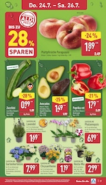 Lavendel im ALDI Nord Prospekt in Gera Aktueller ALDI Nord Prospekt mit Lavendel, "Aktuelle Angebote", Seite 27