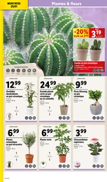 Offre Plante Aromatique dans le catalogue Lidl du moment à la page 32