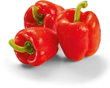 Aktuelle Paprika Angebote bei Netto Marken-Discount in Mannheim Aktuelles Paprika rot Angebot bei Netto Marken-Discount in Mannheim ab 0,69 €