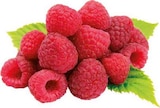 Himbeeren bei EDEKA im Telgte Prospekt für 2,22 €