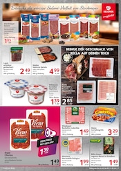 Maggi im Selgros Prospekt in Rüsselsheim Aktueller Selgros Prospekt mit Maggi, "cash & carry", Seite 7