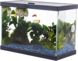 Aquarium "Fresh 35 start" PURE FAMILY - PURE FAMILY dans le catalogue Jardiland