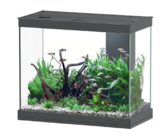 ENSEMBLE AQUARIUM ALTO 60 - AQUADISIO en promo chez Animalis ENSEMBLE AQUARIUM ALTO 60 - AQUADISIO dans le catalogue Animalis