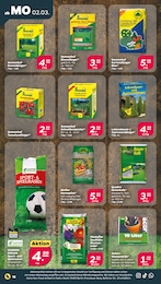 Blumenerde Angebot im aktuellen Netto mit dem Scottie Prospekt auf Seite 26