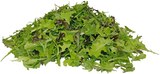 Bio Crispy Salatmix im Angebot bei REWE in Kaiserslautern Bio Crispy Salatmix Angebote von REWE Bio bei REWE Kaiserslautern für 1,00 €