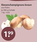 Riesenchampignons braun von  im aktuellen V-Markt Prospekt für 1,99 €