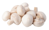 Pilzmix im Angebot bei REWE in Düsseldorf Pilzmix Angebote von WiR aus der Region bei REWE Düsseldorf für 1,99 €