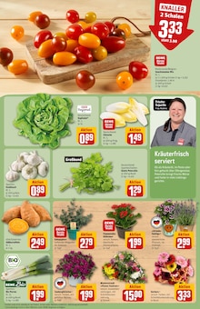 Pflanzen im REWE Prospekt "Dein Markt" mit 28 Seiten (Wiesbaden)