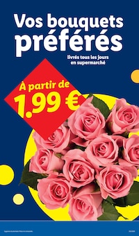 Promotion Ménagère dans le prospectus Lidl, valable du 13/08/2026 au 19/08/2026 Promo Ménagère dans le catalogue Lidl du moment à la page 27