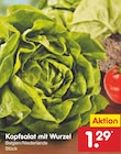 Kopfsalat mit Wurzel Angebote bei Netto Marken-Discount Solingen für 1,29 €