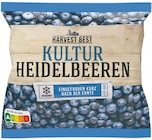 Kultur Heidelbeeren von Harvest Best im aktuellen Netto mit dem Scottie Prospekt