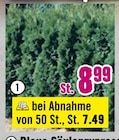 Blaue Säulenzypresse im Angebot bei Hornbach in Bremerhaven Blaue Säulenzypresse Angebote bei Hornbach Bremerhaven für 7,49 €
