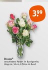 Rosen von  im aktuellen tegut Prospekt für 3,99 €