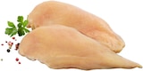 Aktuelle Huhn Angebote bei REWE in Düsseldorf Aktuelles Frisches Maishähnchen-Brustfilet Angebot bei REWE in Düsseldorf ab 1,69 €