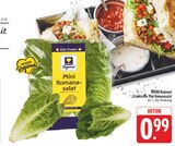 Fränkischer Mini Romanasalat im Angebot bei E center in Fürth Fränkischer Mini Romanasalat Angebote von EDEKA Regional bei E center Fürth für 0,99 €