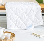 Sommerbett 'Cool Linen' im Segmüller Prospekt Sommerbett 'Cool Linen' von f.a.n. im aktuellen Segmüller Prospekt für 34,99 €