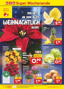 Ananas im Netto Marken-Discount Prospekt "Aktuelle Angebote" mit 63 Seiten (Leipzig)