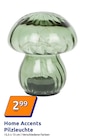 Pilzleuchte im Angebot bei Action in Stuttgart Pilzleuchte Angebote von Home Accents bei Action Stuttgart für 2,99 €